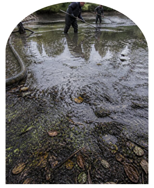Очистка пруда в Подольске от ила мусора и водорослей с вывозом